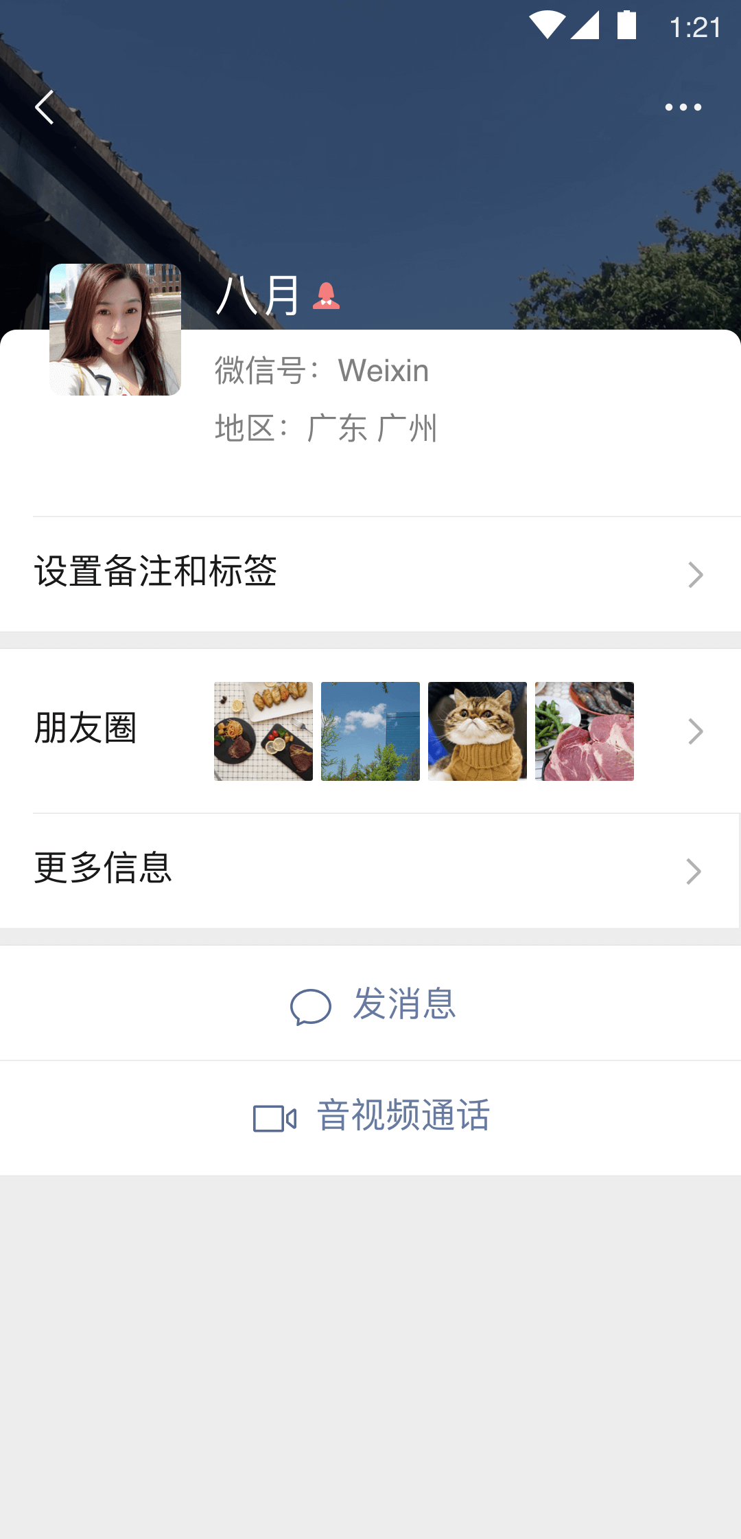 哈尔滨猫S截图